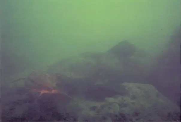 A giant catfish and my first underwater photo - Medina Lake, Texas, 2007